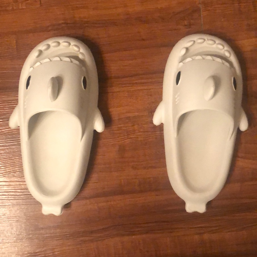 Cloud Shark Slides